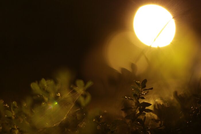 flashlight-3736715 1280