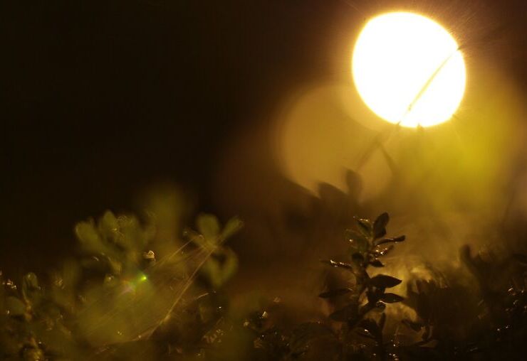 Work Lights for Dark Nights!