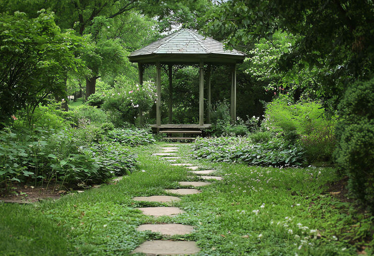 Step Up Your Landscaping Game –