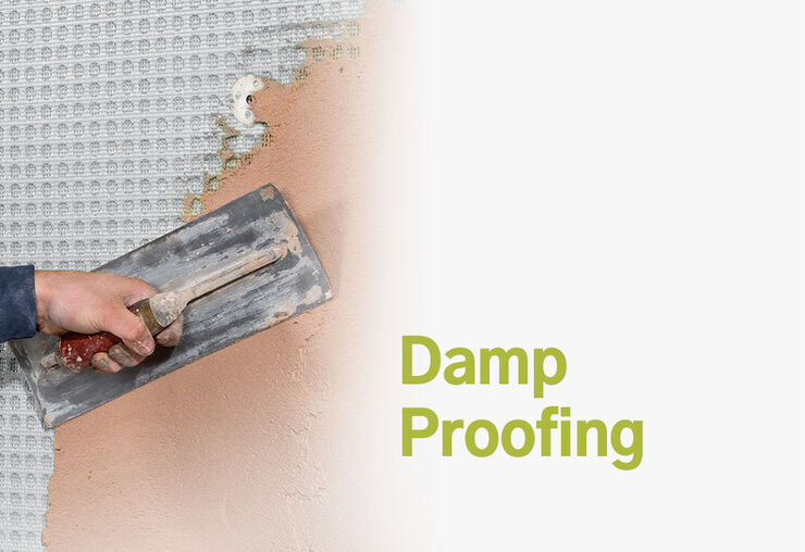 Stamp Out Damp Before Mould Takes a Hold!