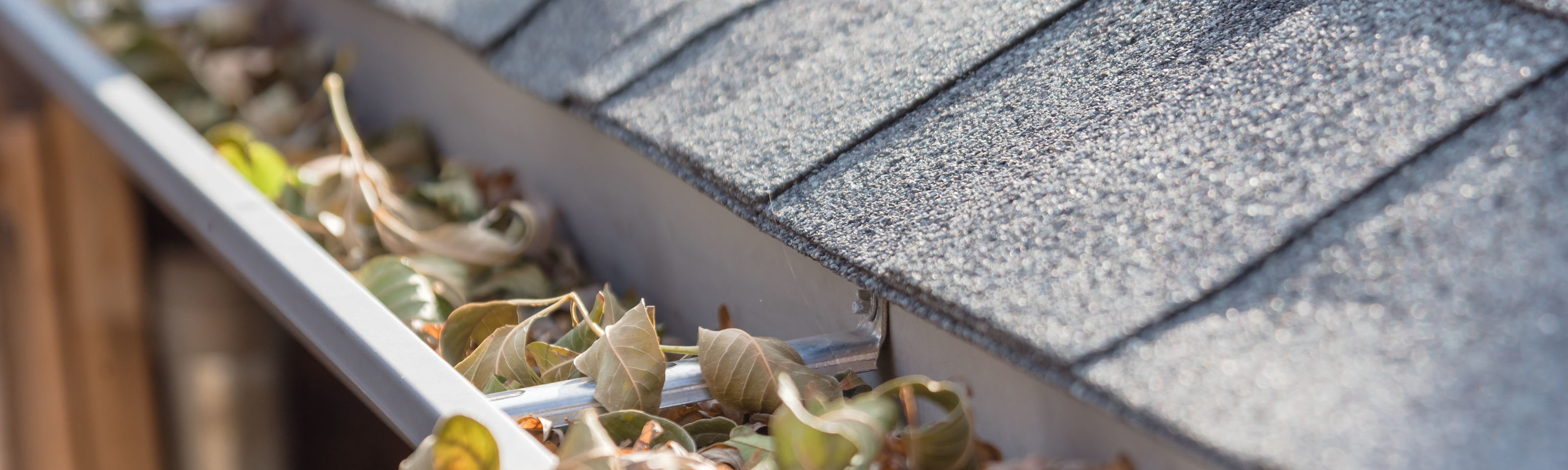 Don't Let Clutter Make Your Gutter Splutter!