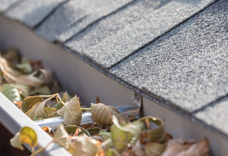 Don't Let Clutter Make Your Gutter Splutter!