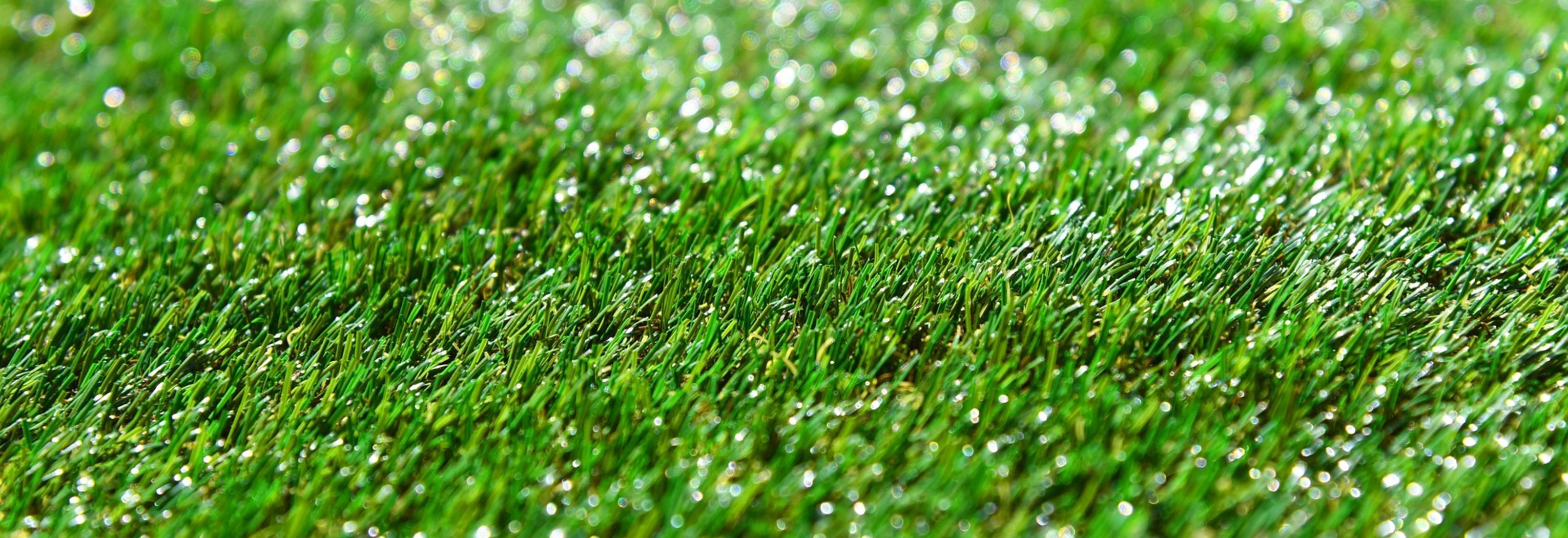 Artificial Grass