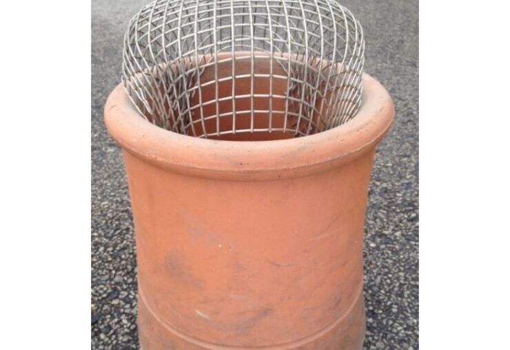 Protect YOUR Chimney from the Feathered Fiends!