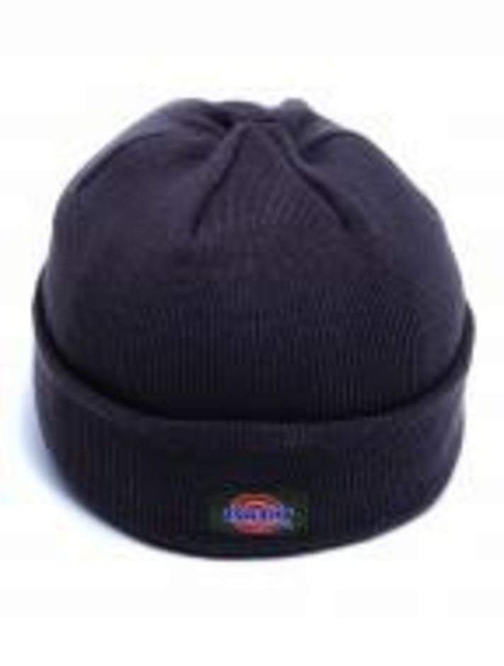 Dickies Thinsulate Bob Hat