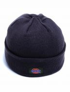 Dickies hat