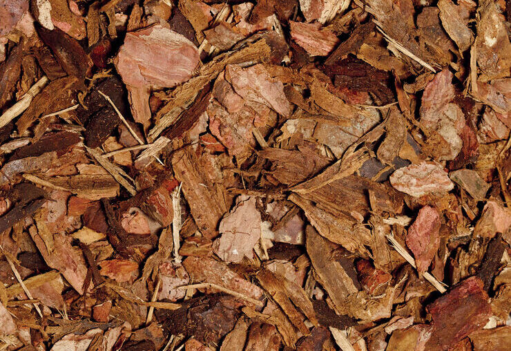 Big Projects for 2025: Turn your Garden into a Playground!