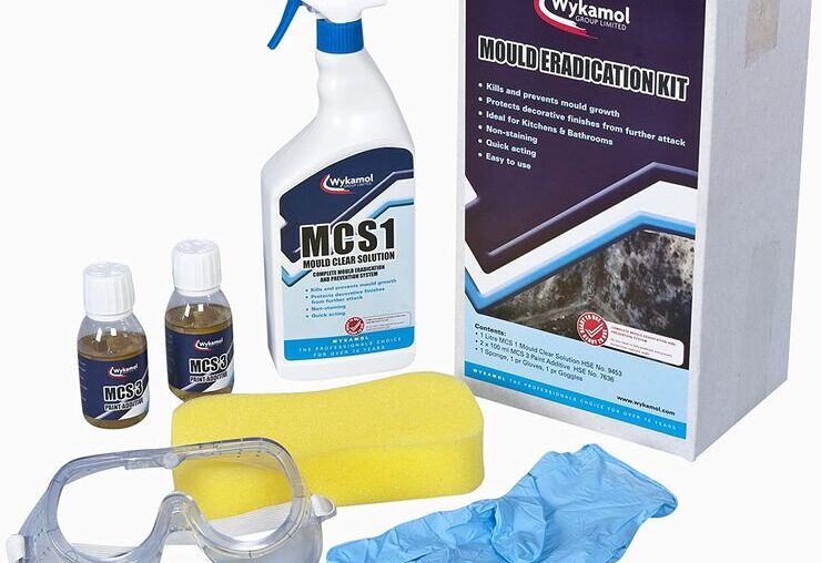 How to Get Rid of Mould